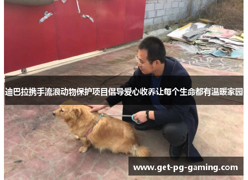 迪巴拉携手流浪动物保护项目倡导爱心收养让每个生命都有温暖家园