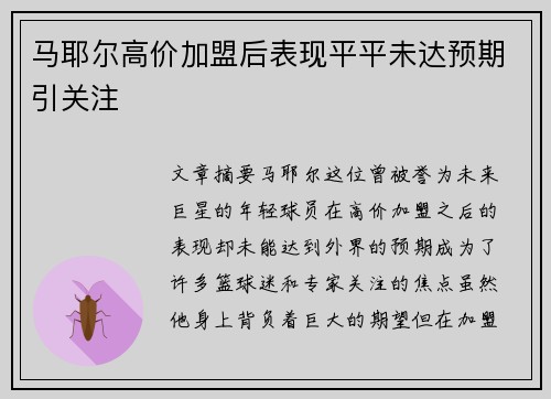 马耶尔高价加盟后表现平平未达预期引关注